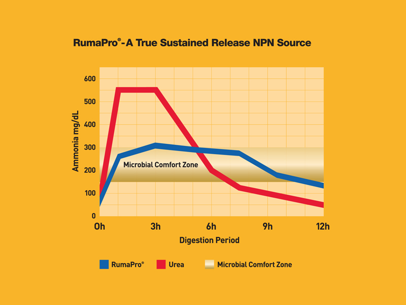 img-rumapro-graph